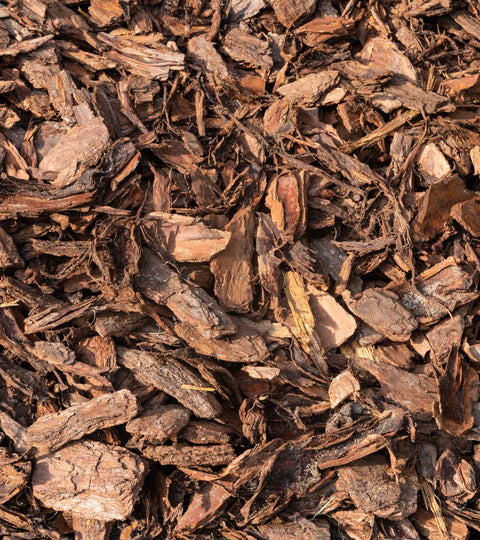 Close-up of biodegradable packaging alternatives like bark fibres, symbolising sustainable fashion packaging innovation