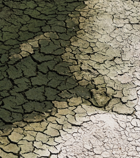 How Does AI Use Water and Energy? Unpacking the Environmental Impact