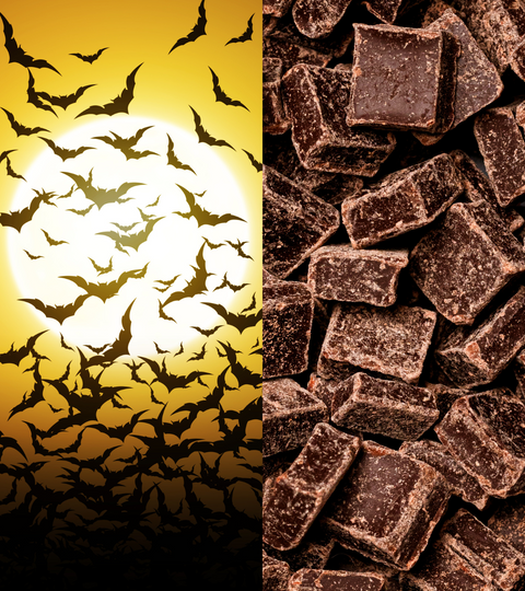 Eco activism exhibition “No Bats, No Chocolate” featuring bat-themed artwork and chocolate sculptures at Galerie 56.
