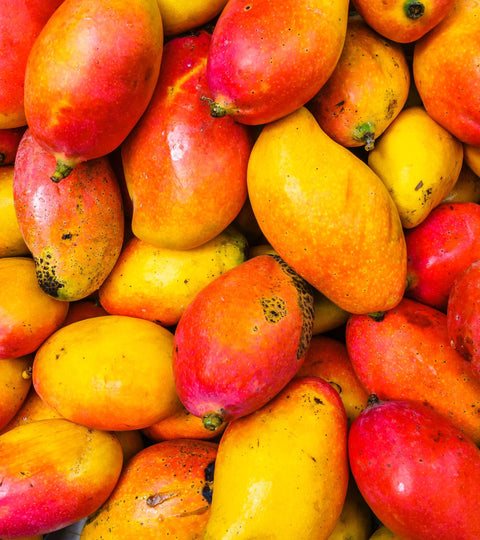 Close-up of ripe mangoes in vibrant red and yellow tones