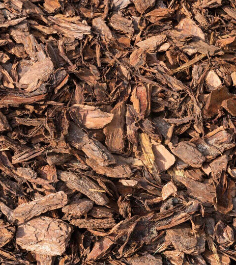 Close-up of biodegradable packaging alternatives like bark fibres, symbolising sustainable fashion packaging innovation