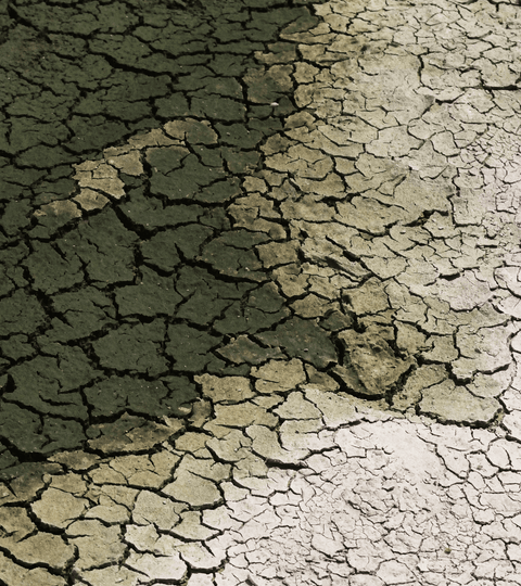 Cracked earth and servers symbolising AI environmental impact on water and energy