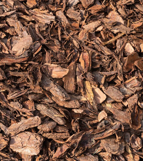 Close-up of biodegradable packaging alternatives like bark fibres, symbolising sustainable fashion packaging innovation